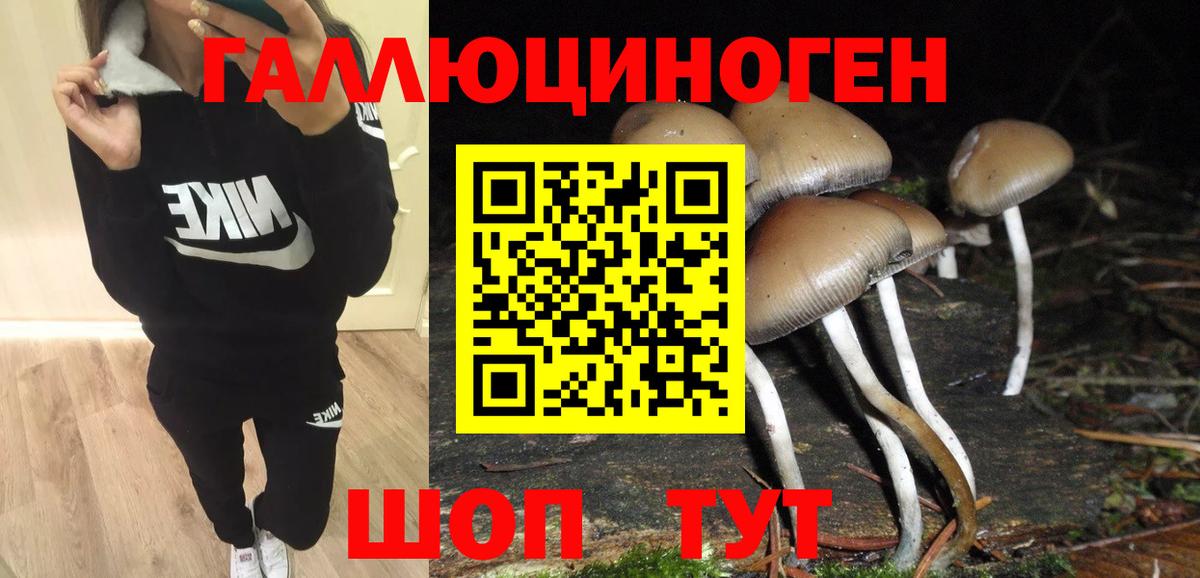 Псилоцибиновые грибы мицелий  Вход с VPN  Псилоцибиновые грибы прущие грибы  Карталы 